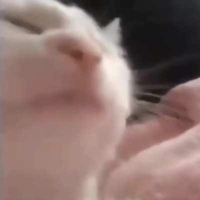 YEAH YOU'RE WORSE THAN NICOTINEEEE