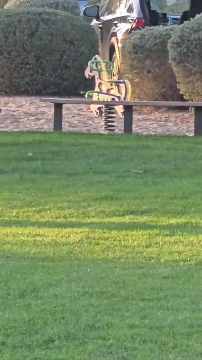 Playground Rocking horse being rode by a GHOST!