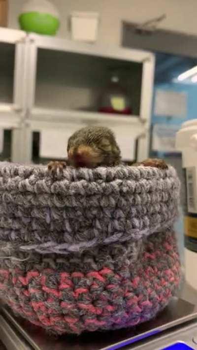 On that day, humanity received a grim reminder…