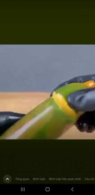 Well that still intact after that