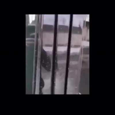 Russian road rage