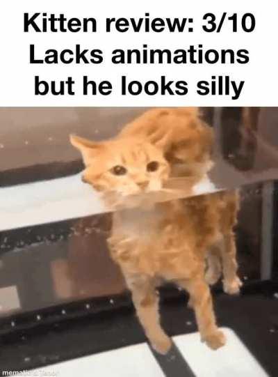 Lagcat. This companion scares programmers, and will weaken virtually anyone