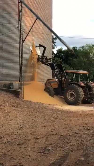 This is why you offer more than minimum wage for your farmhands