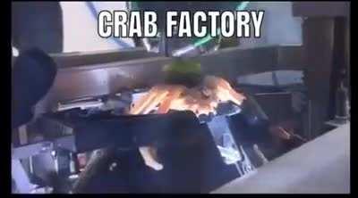 They make pigeons the same way