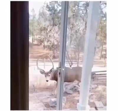 My friends :3 😍😁😗🥰