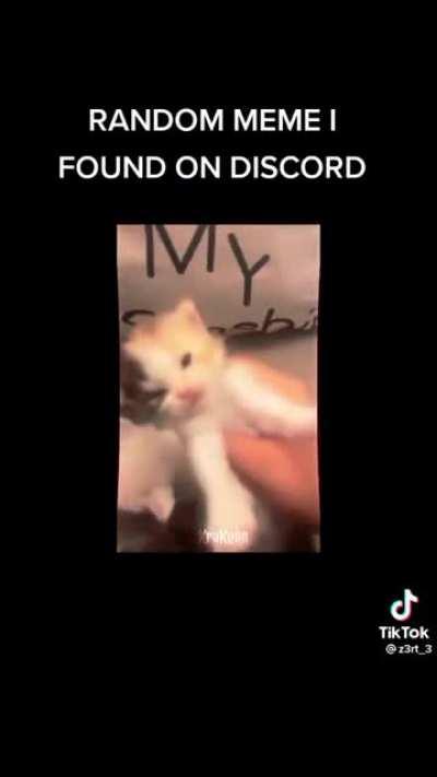 ARAB 🗡️ 🛡️ 👑 Dont repost if cool 😎