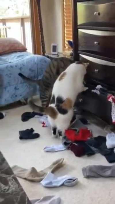 Группа лиц по предварительному сговору...