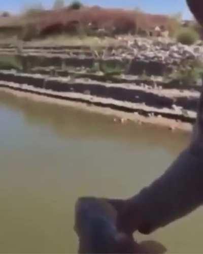 Let me just throw this fish back in the water...