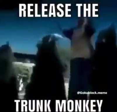 Release the Trunk MONKEY