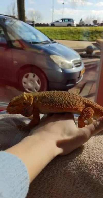 Fast way to lose weight! Be bikini ready with a nice flat belly