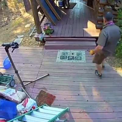 Just another UPS delivery.