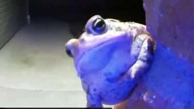 Who’s at the door?