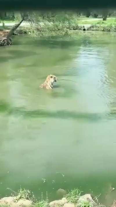 Awkward hunting moment😃