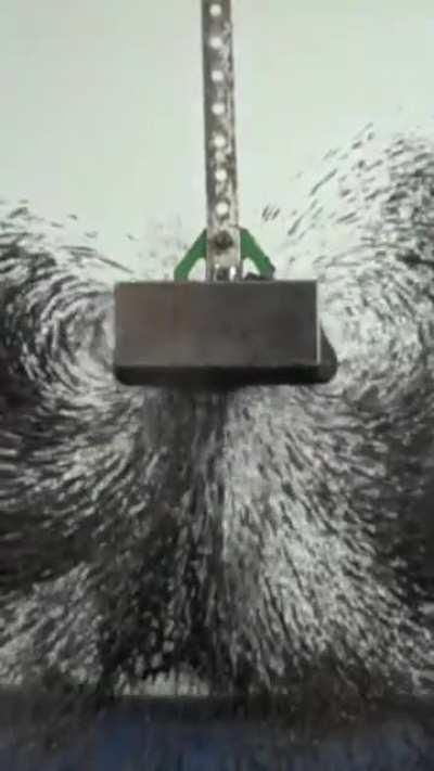 Magnetic Fields in Slow Motion