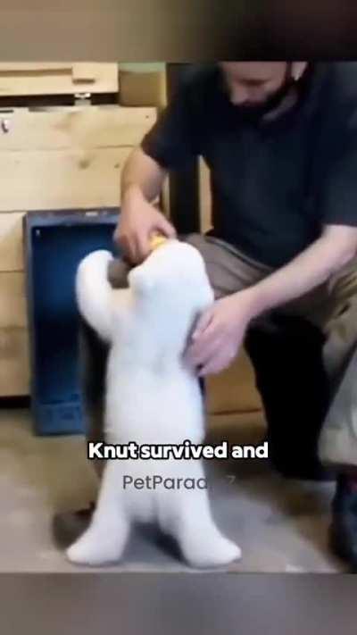 Pinche gente metiche