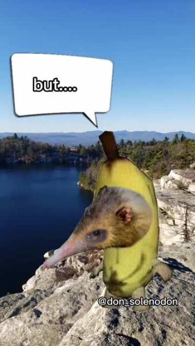 such inspiring words. truly moving. Also , a stupendously marvelous use of language.