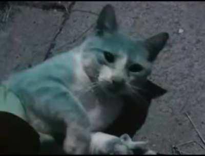 film oparty na faktach