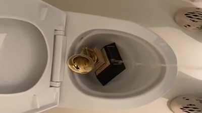 PISS ON YOUR GRAMMY