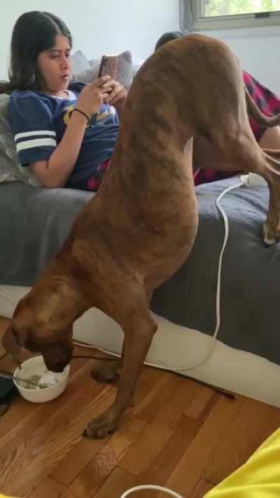 Calculated angle of attack