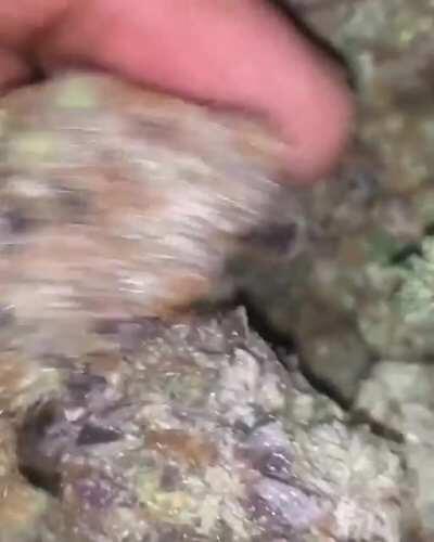 Some fire ice cream cake! I love the darknet