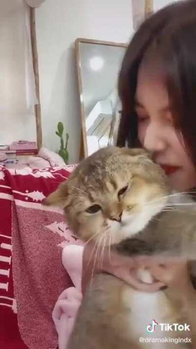 Nyan’s origin story