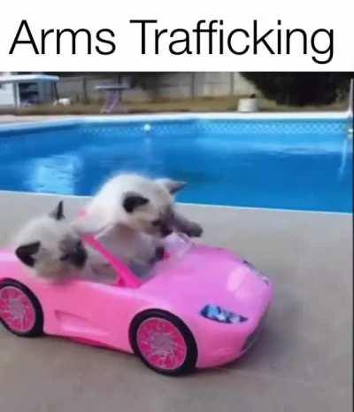 On an international scale