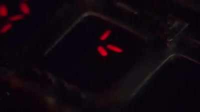 The Greatest Predator Shitpost