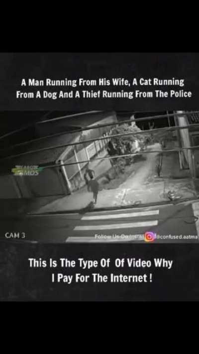 Praise security cams for this shit