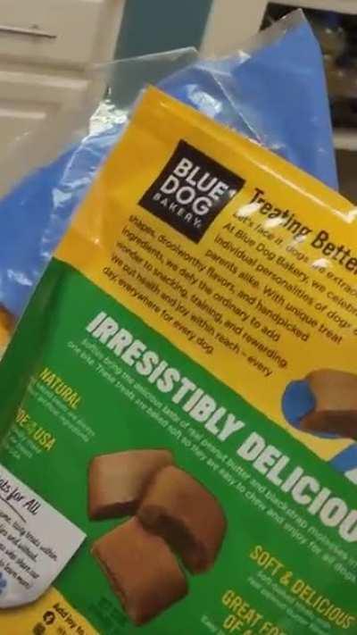 Silent hill : Nintendogs Confirmed