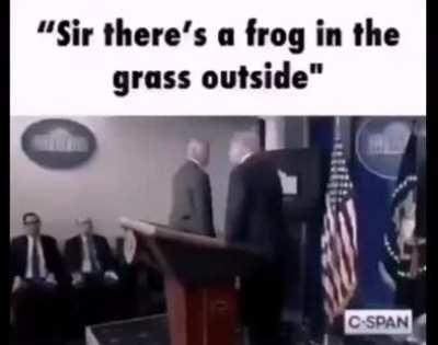 🐸