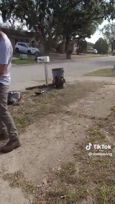 Satisfying lawn transformation