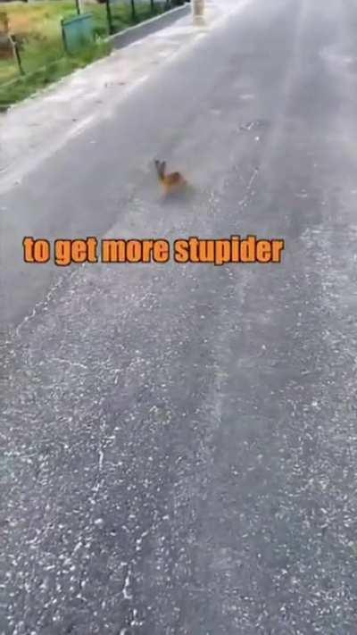 Just a casual everyday conversation