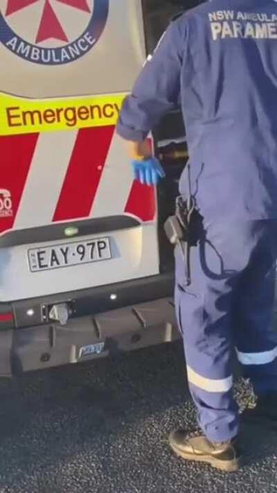 HMC as I skate this hill