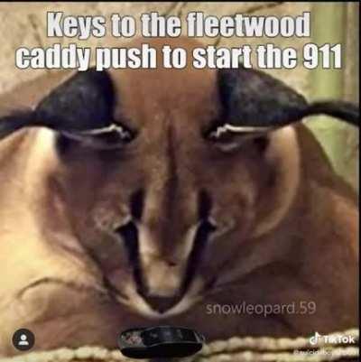 meme monday ( i do not own this video )