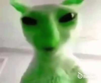 REAL pope speaks REAL latin