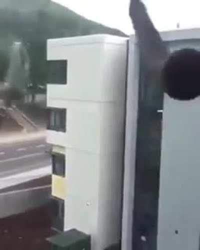 Your package was delivered...