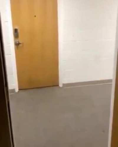 GrOUp oF GUyS tErRorIZeD bY PrEHiSToRiC rApToR