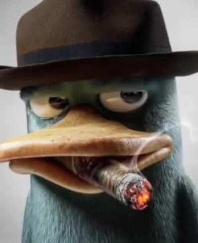 p rry platypu s 😁👍