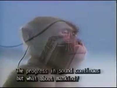 I have become monkey. But at what cost?