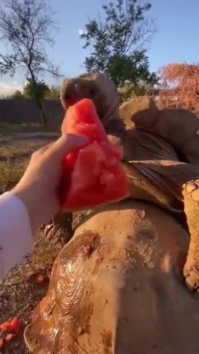 Охладите ваше траханье, углепластик!