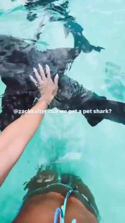 More sharks and bikini from her POV