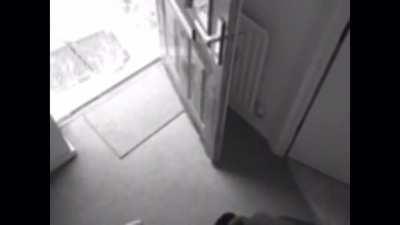 Where could she have gone?