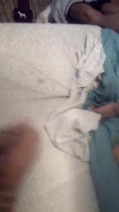 Sexy wife tries to take her bulls fat cock while i stroke hard .