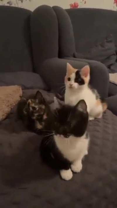 Luangameplay666 - Video #1710