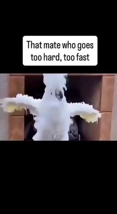 What a performance!❤️🤣