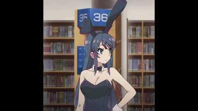 Rabbit [Rascal Does Not Dream Of Bunny Girl Senpai]