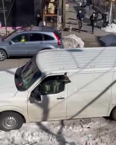 Angry dRiVer viCiouSlY HonKIng AT Random peopLe