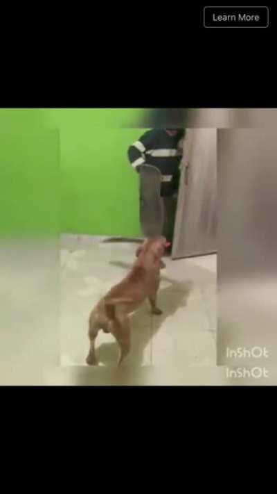 come in, he wont bite