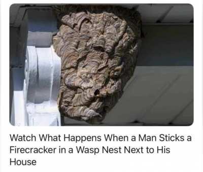 It’s not a war crime if it’s on insects