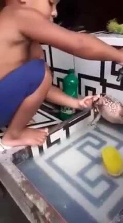 Pepega ta na hora do banho '-'